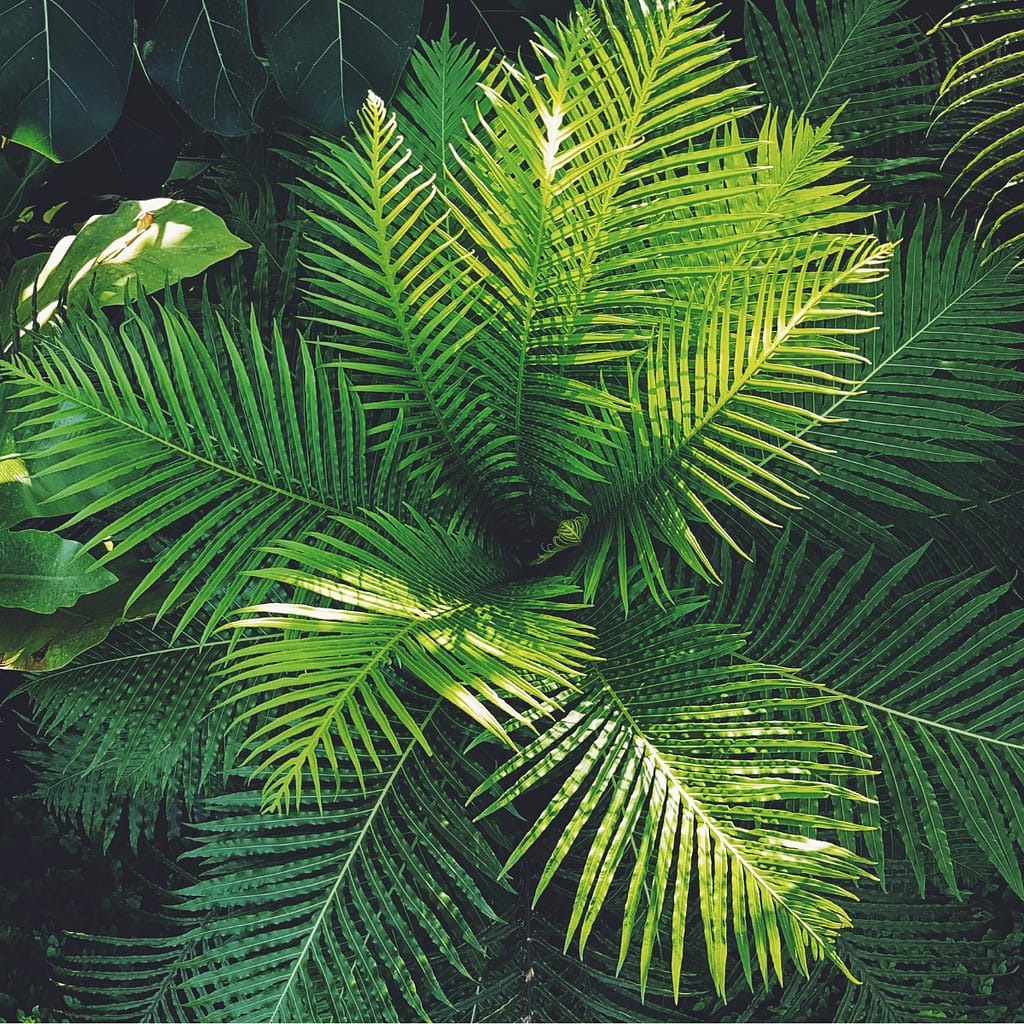 energia renovable solar